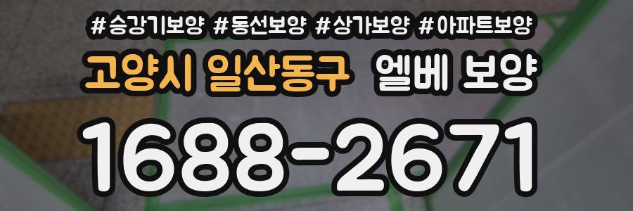고양시 일산동구 엘베 보양