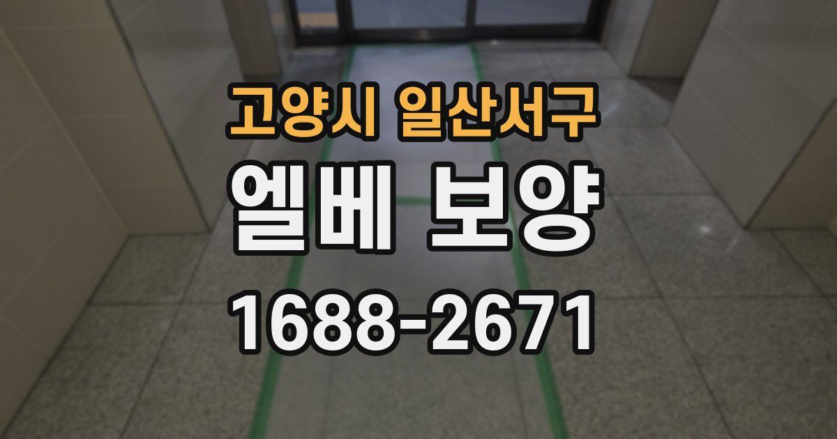고양시 일산서구 엘베 보양