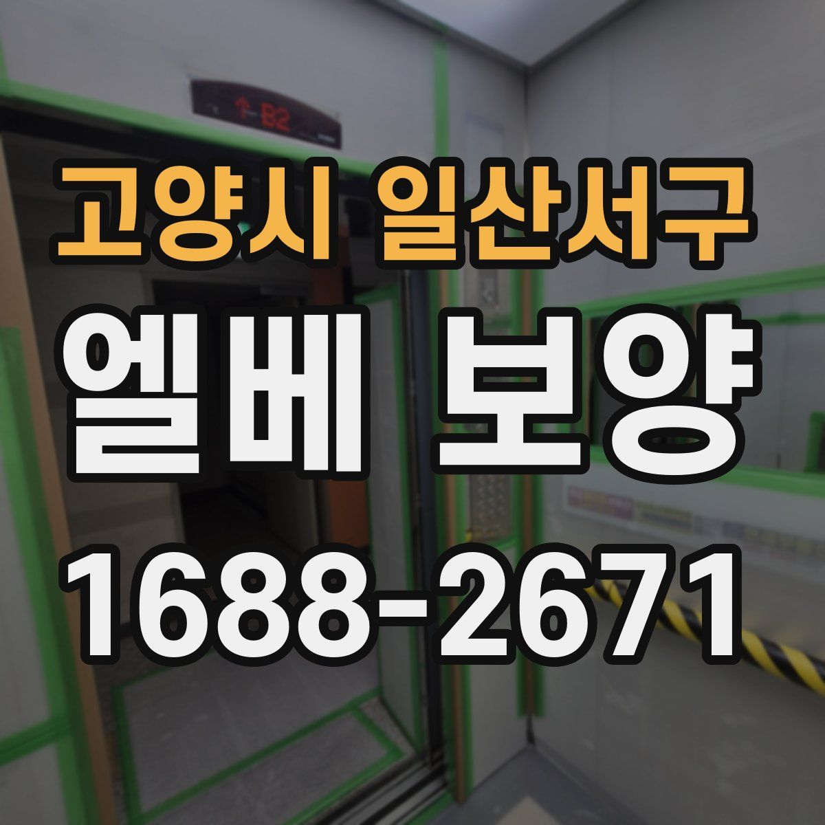 고양시 일산서구 엘베 보양