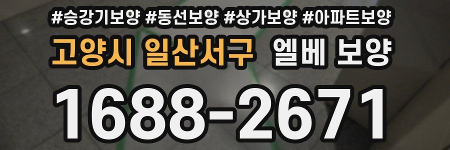 고양시 일산서구 엘베 보양