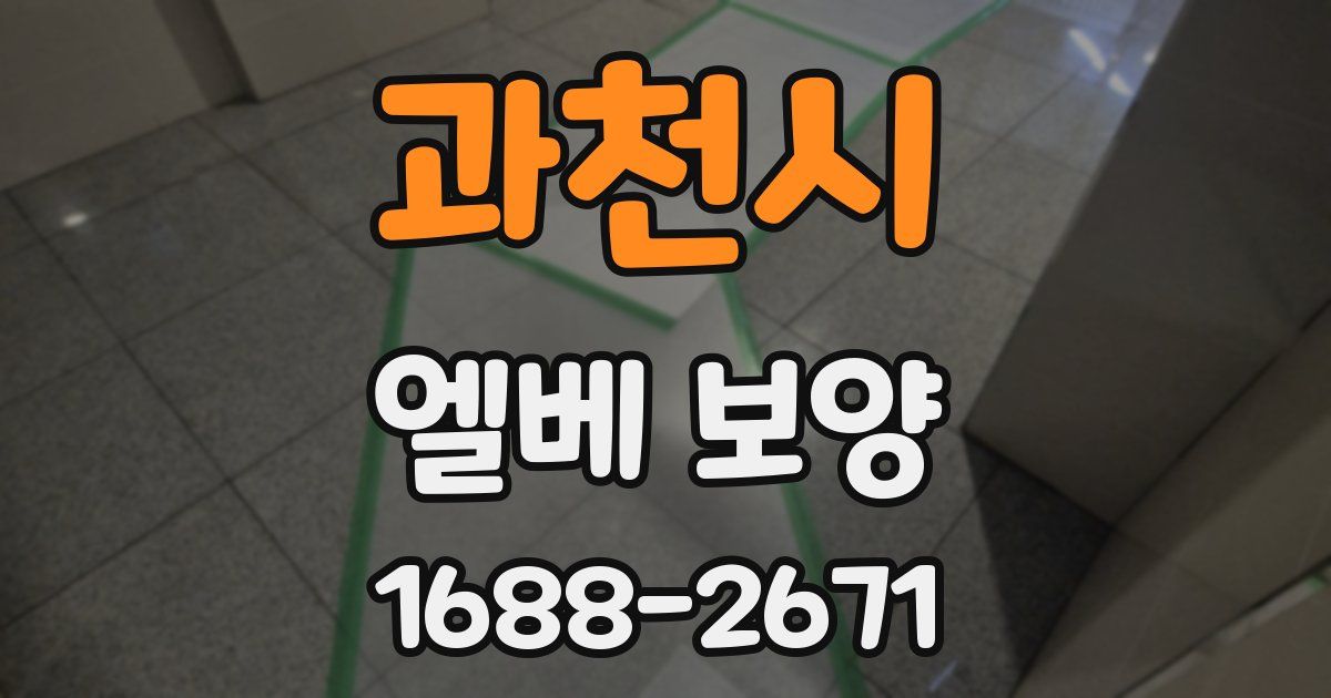 과천시 엘베 보양