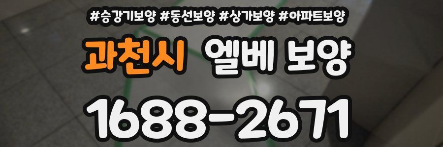 과천시 엘베 보양