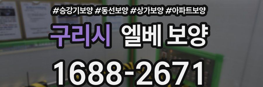 구리시 엘베 보양