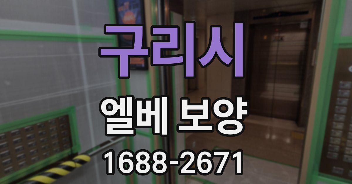 구리시 엘베 보양