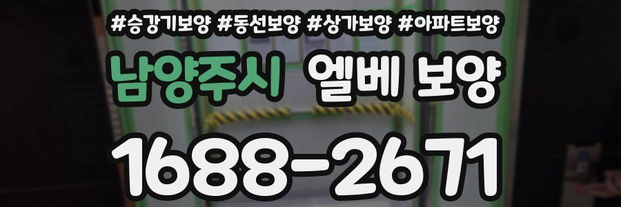 남양주시 엘베 보양