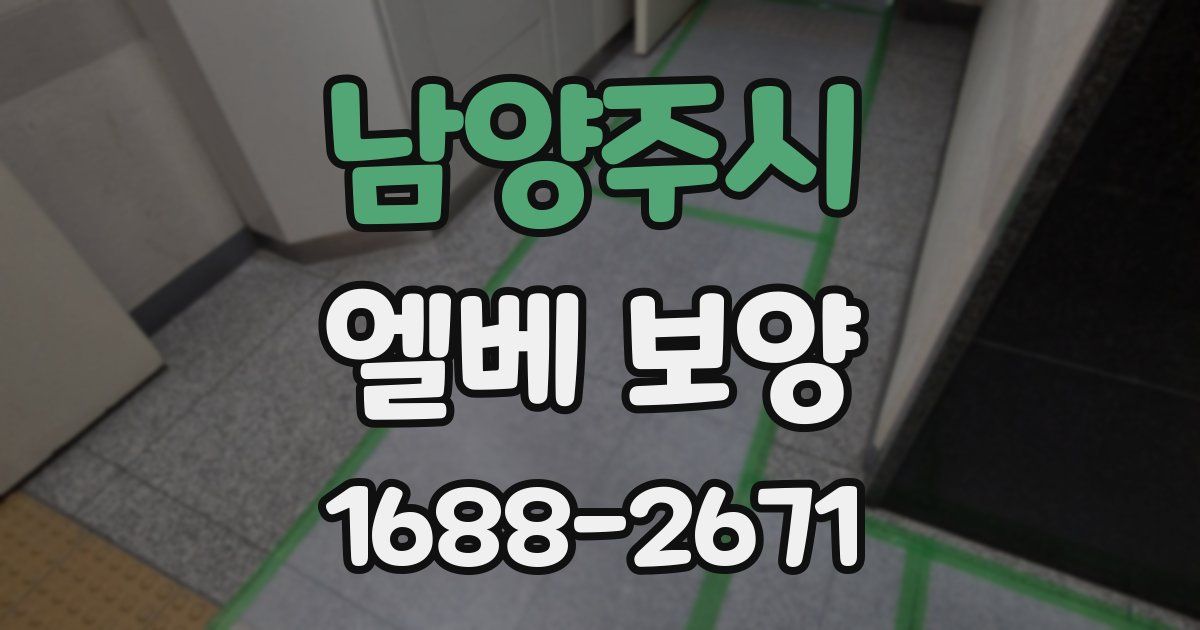 남양주시 엘베 보양