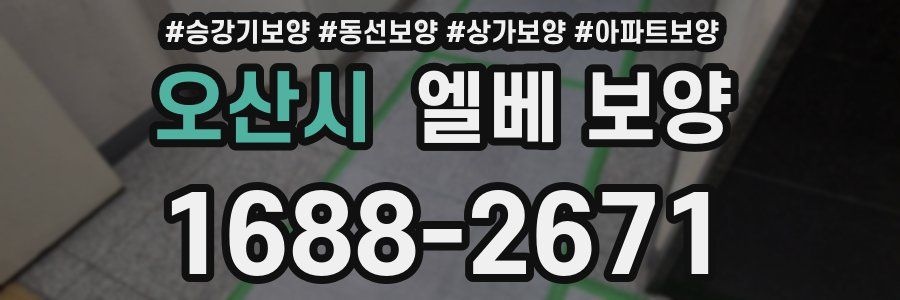 오산시 엘베 보양