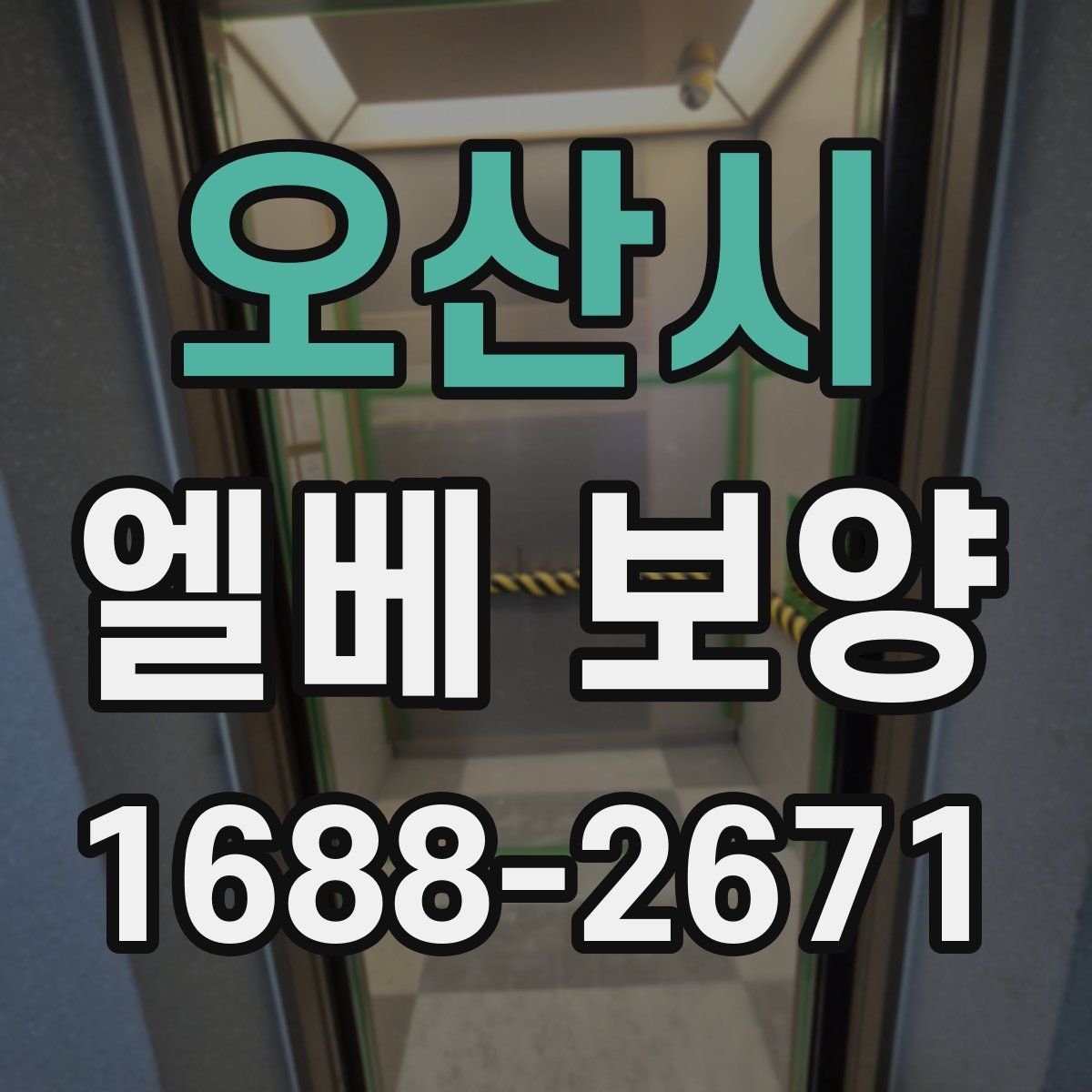 오산시 엘베 보양