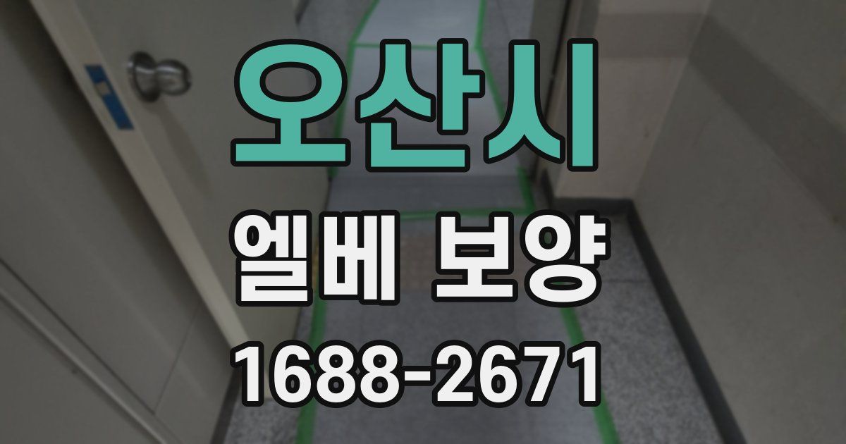 오산시 엘베 보양
