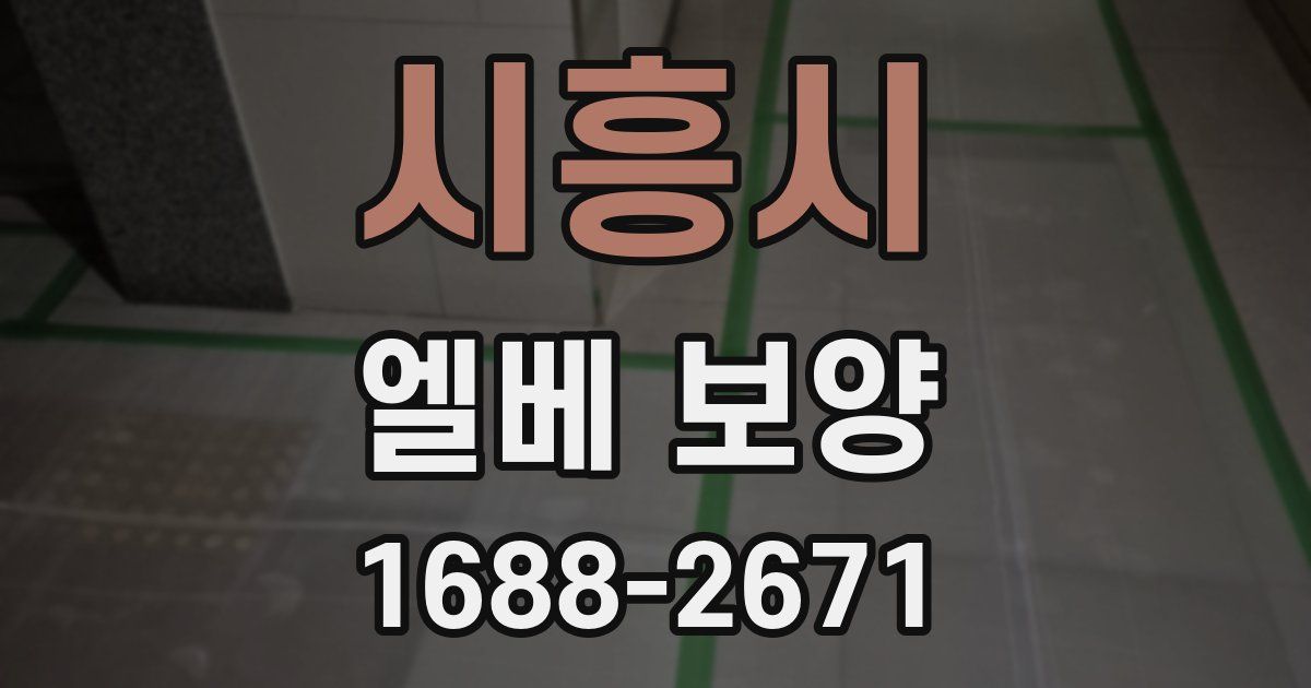 시흥시 엘베 보양
