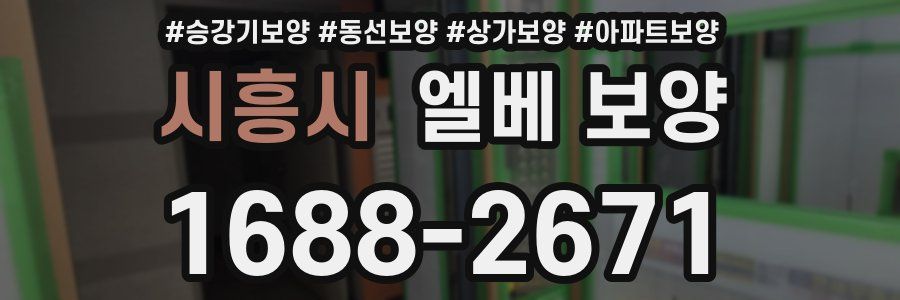 시흥시 엘베 보양