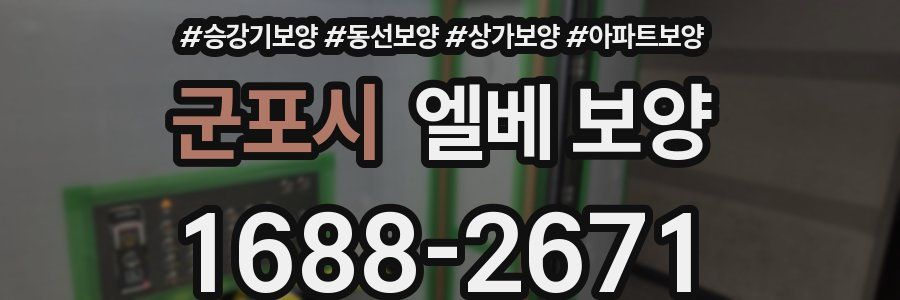 군포시 엘베 보양