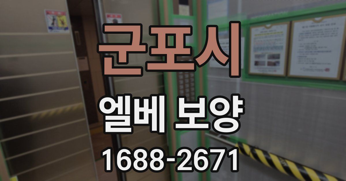 군포시 엘베 보양