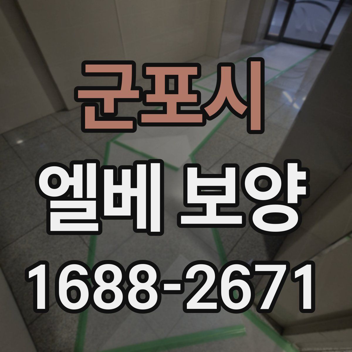 군포시 엘베 보양
