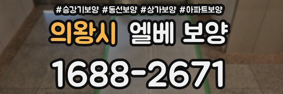 의왕시 엘베 보양