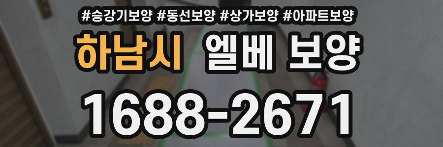 하남시 엘베 보양