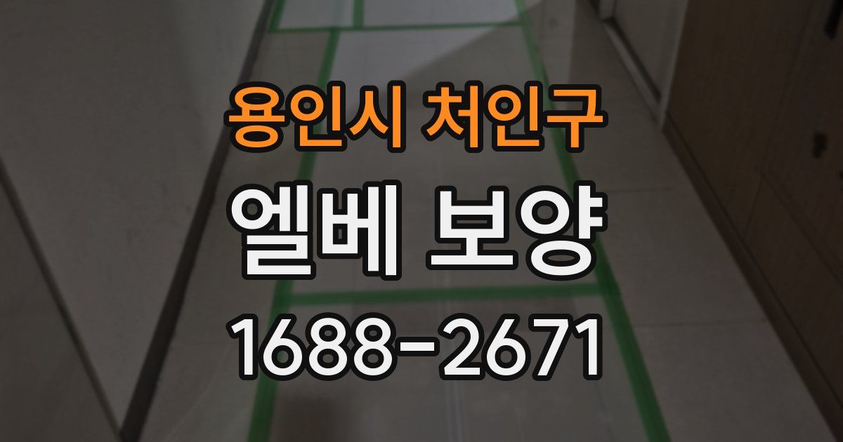 용인시 처인구 엘베 보양