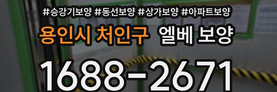 용인시 처인구 엘베 보양