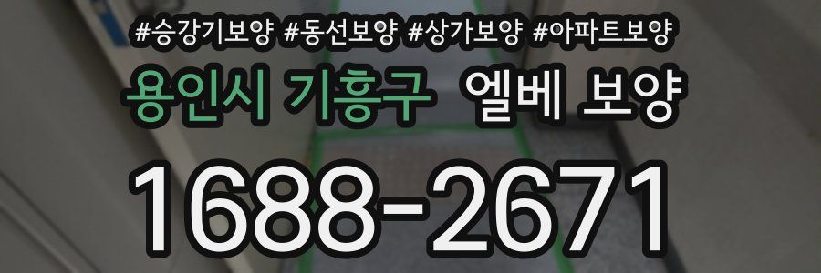 용인시 기흥구 엘베 보양