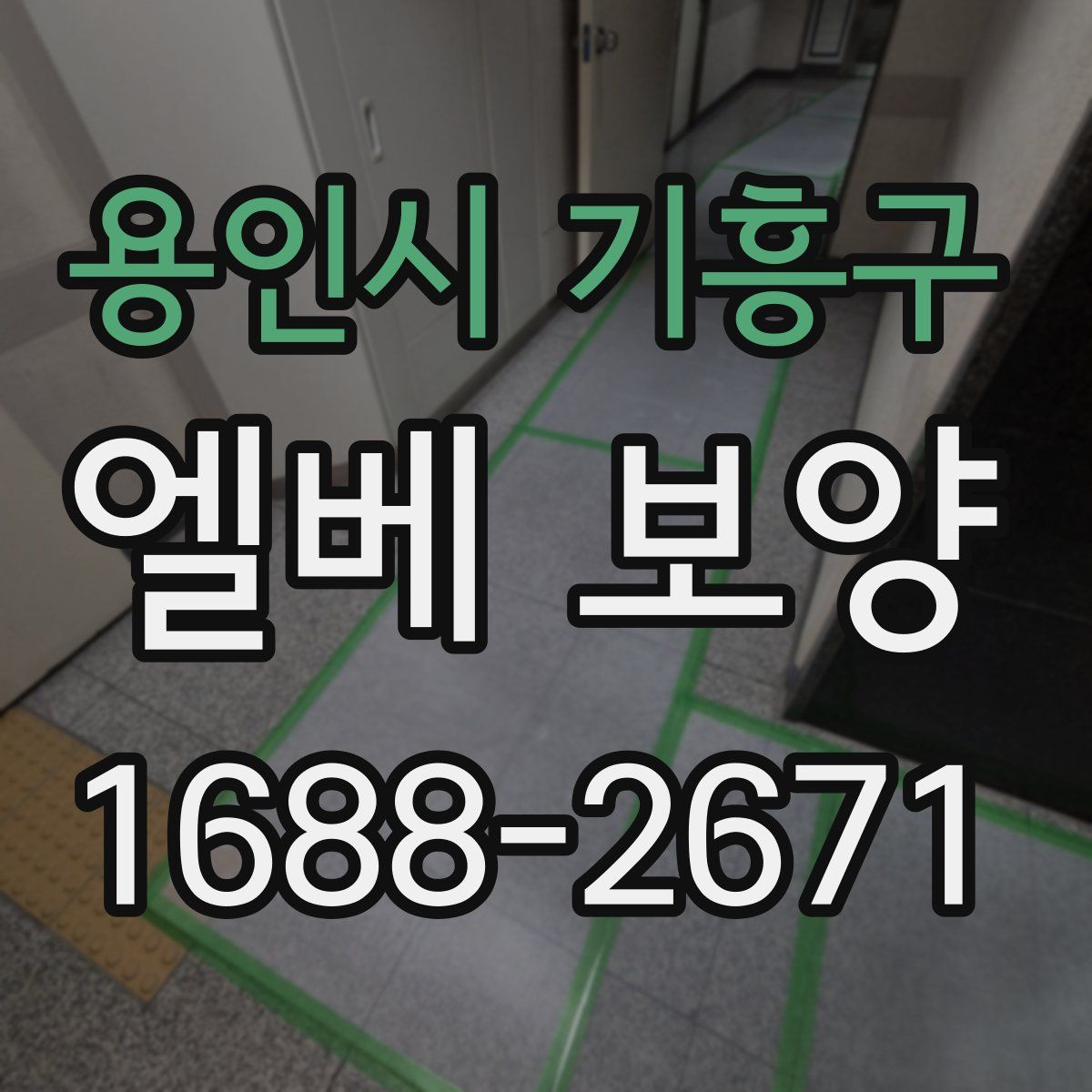 용인시 기흥구 엘베 보양