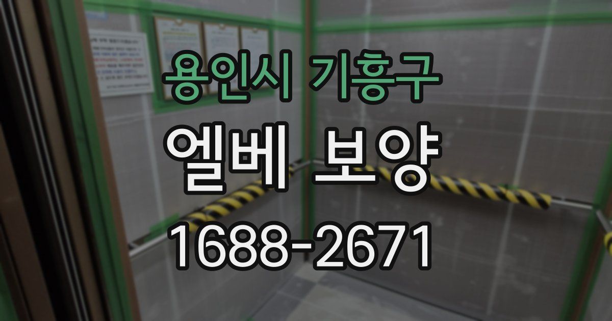 용인시 기흥구 엘베 보양