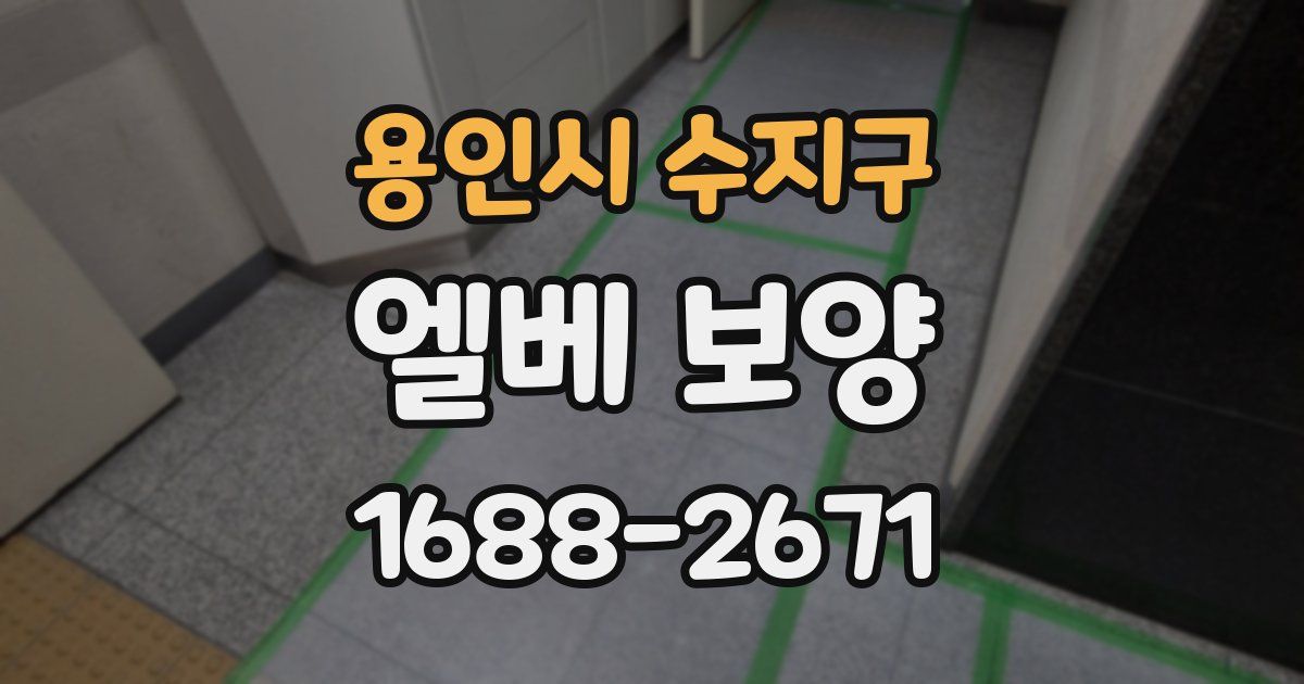 용인시 수지구 엘베 보양