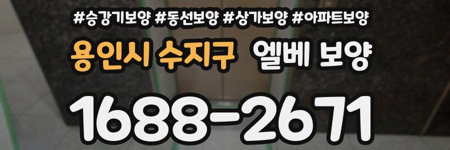 용인시 수지구 엘베 보양