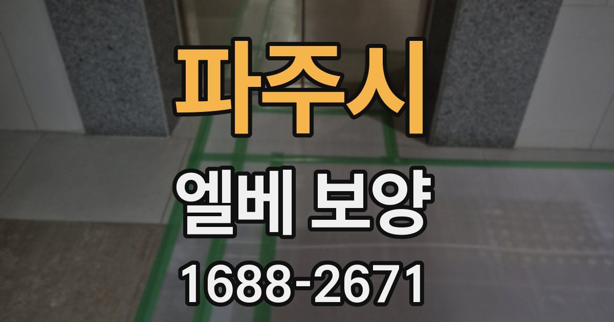 파주시 엘베 보양