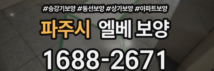 파주시 엘베 보양