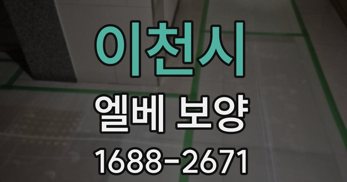 이천시 엘베 보양