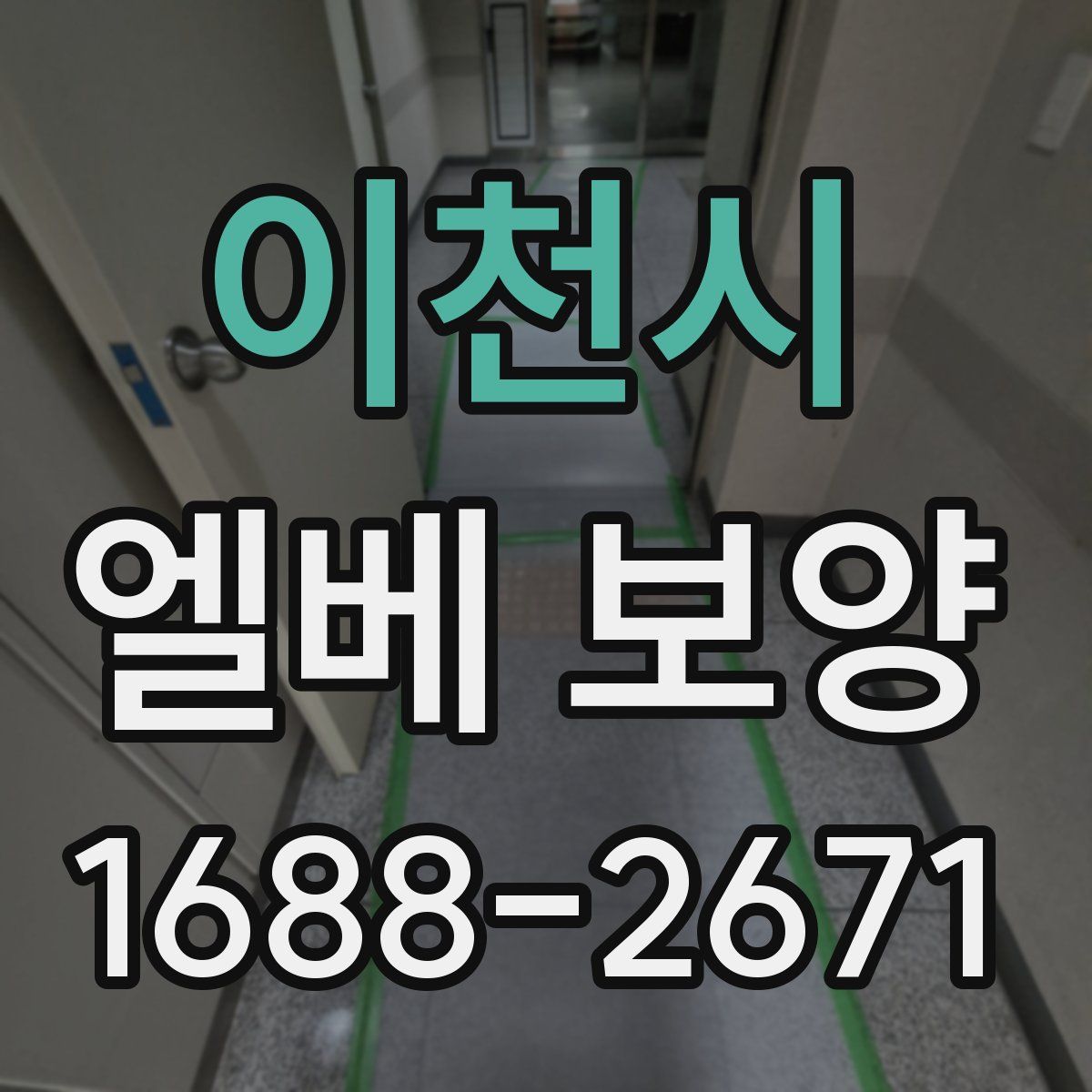 이천시 엘베 보양