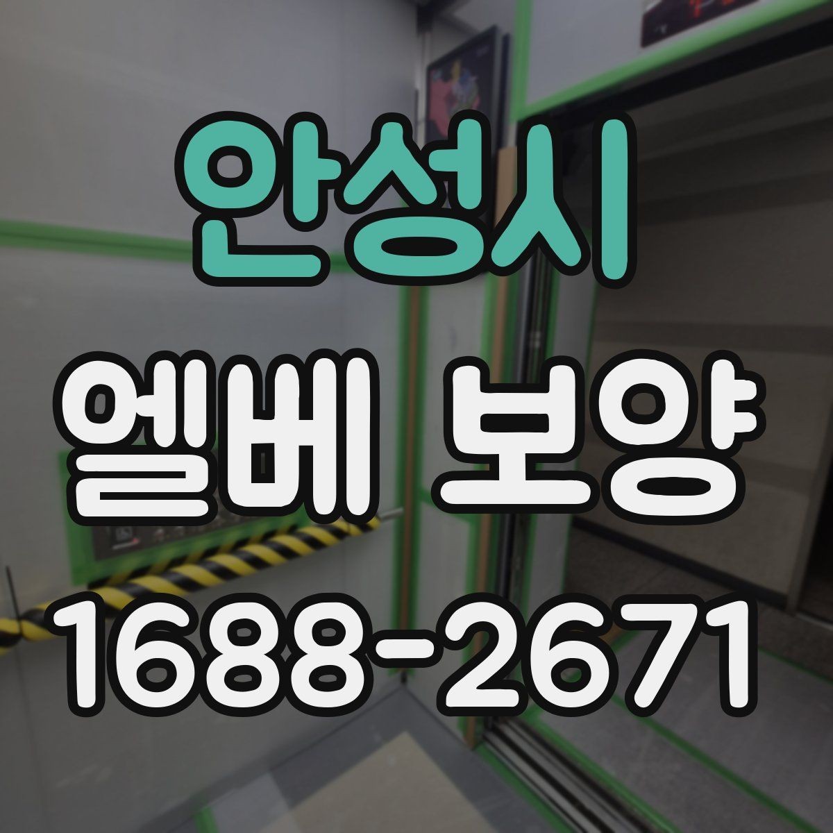 안성시 엘베 보양 공사 전후 꼭 확인할 구역 정리