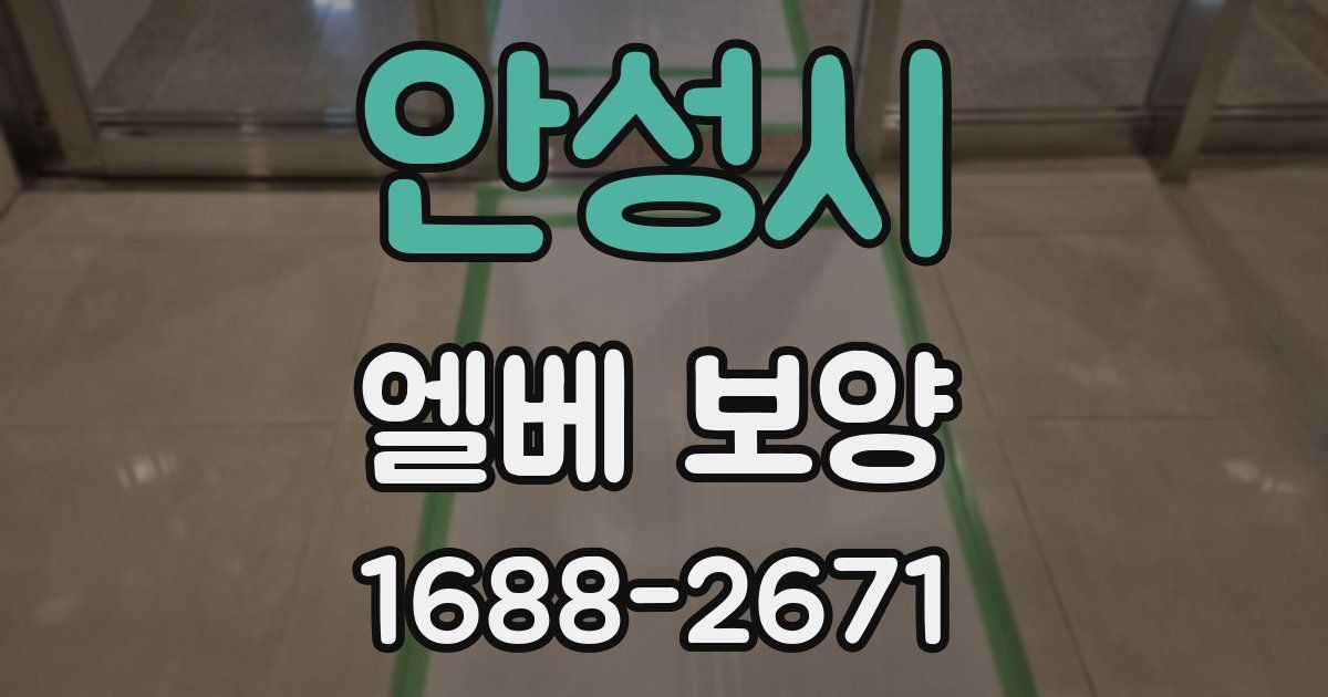 안성시 엘베 보양