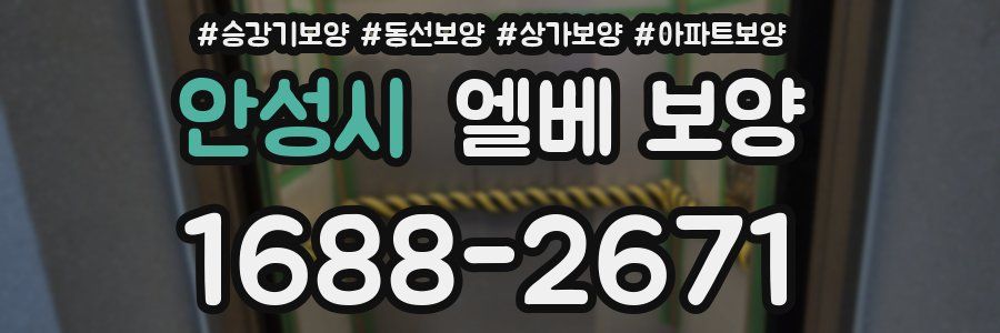 안성시 엘베 보양