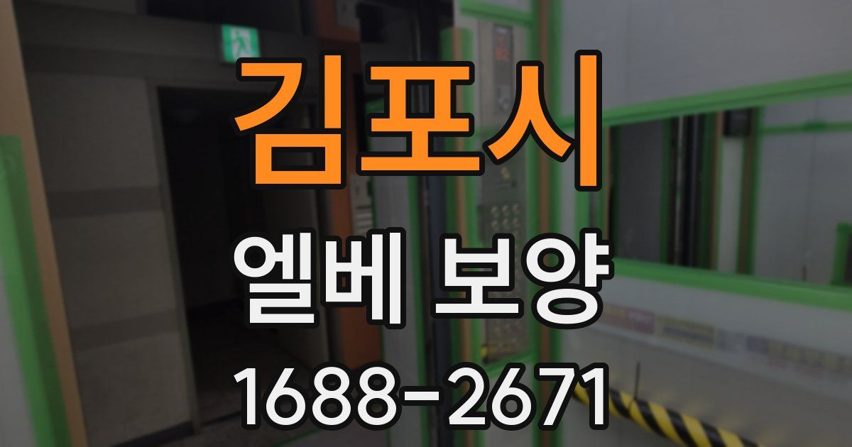 김포시 엘베 보양