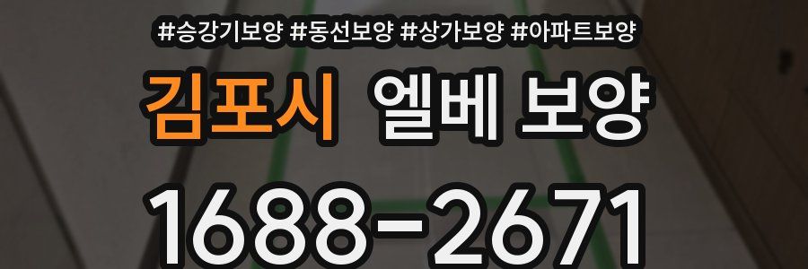 김포시 엘베 보양