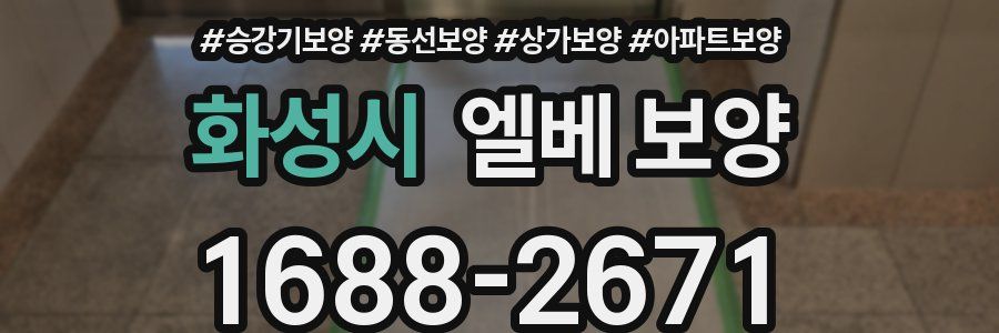 화성시 엘베 보양