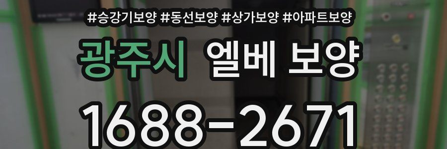 광주시 엘베 보양