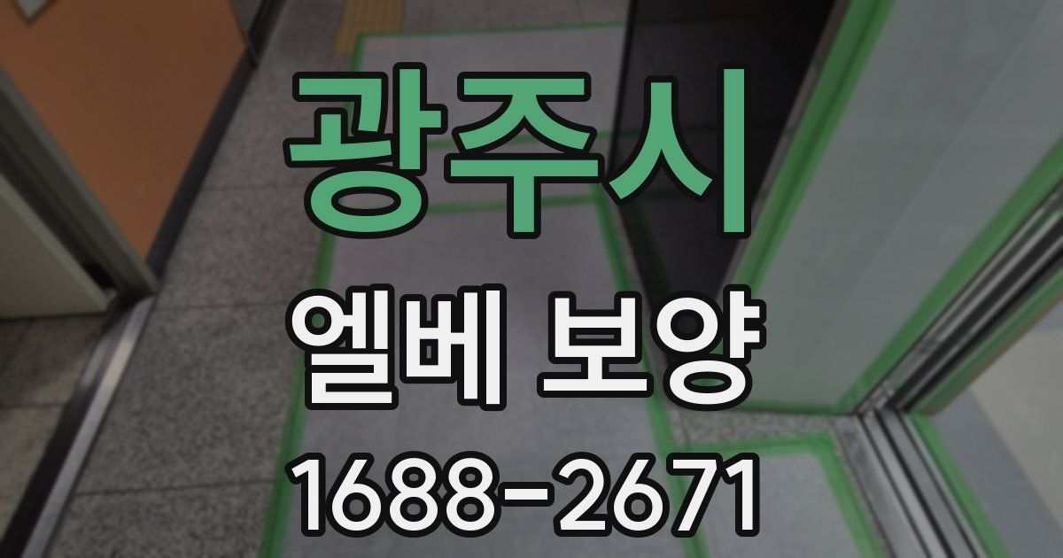 광주시 엘베 보양