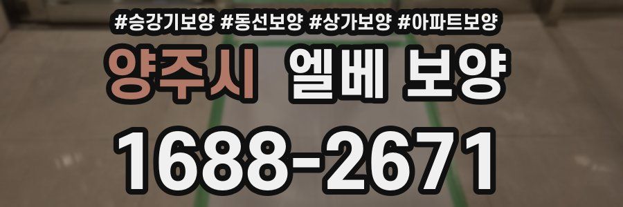 양주시 엘베 보양