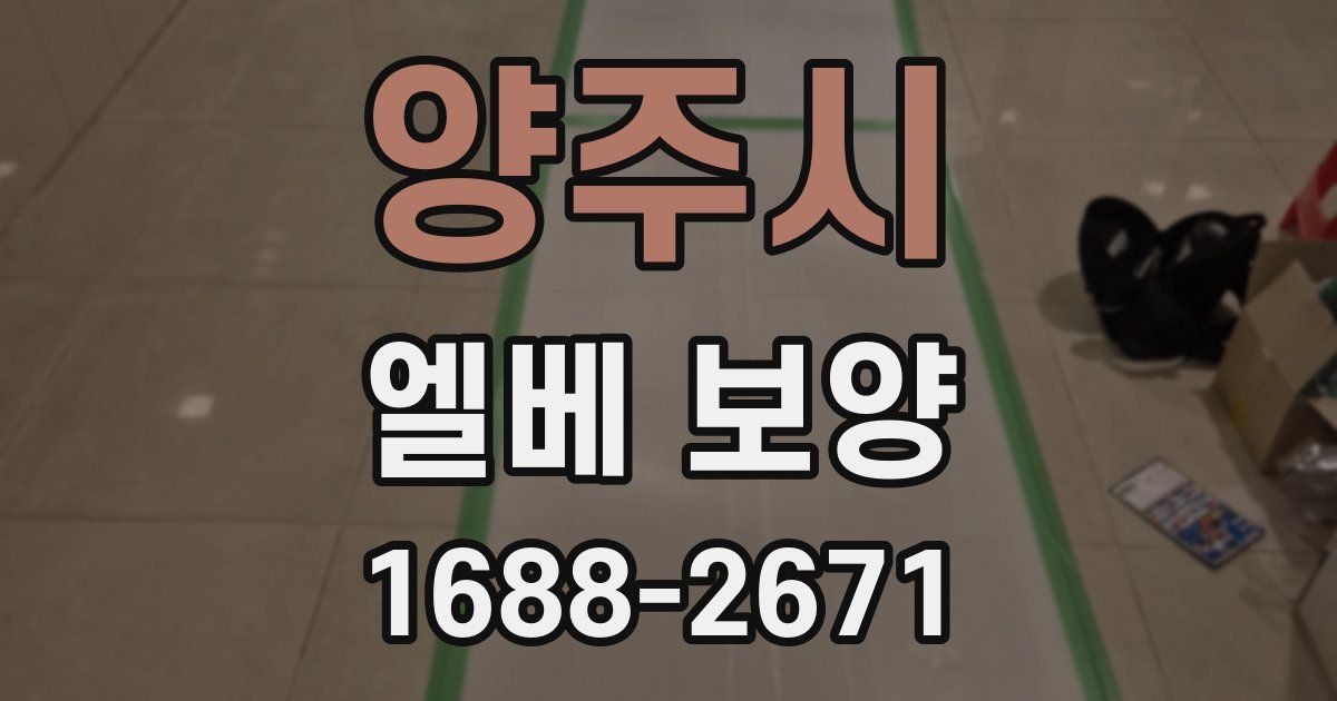 양주시 엘베 보양