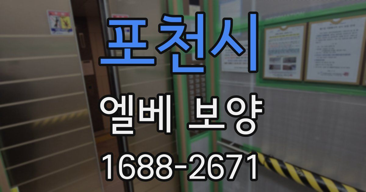 포천시 엘베 보양