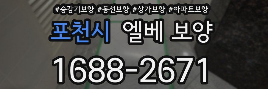 포천시 엘베 보양