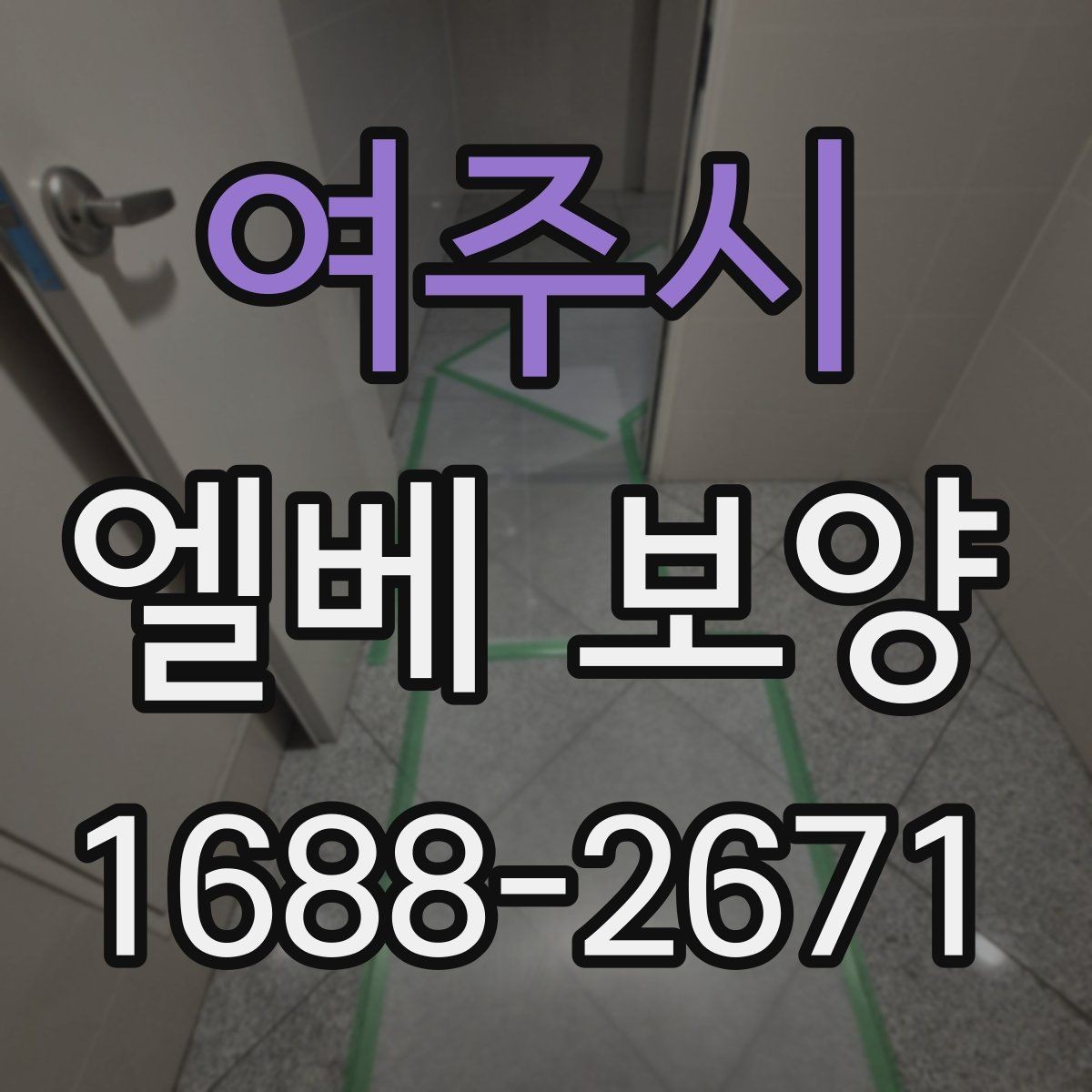 여주시 엘베 보양 유리 패널이 있는 승강기에서 볼 항목