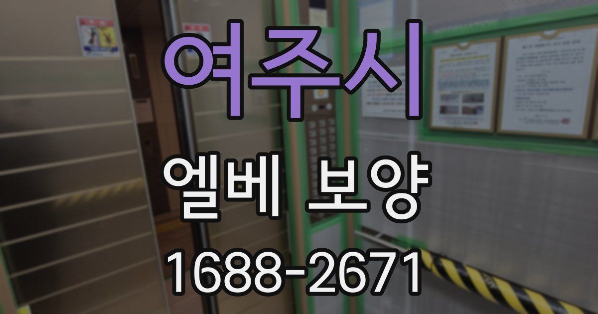 여주시 엘베 보양