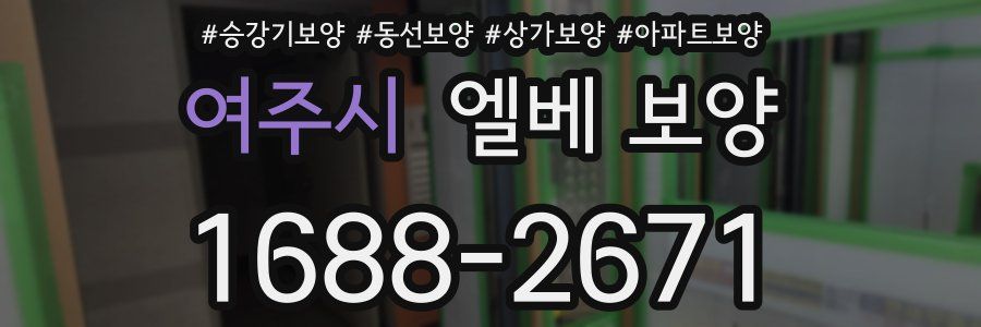여주시 엘베 보양
