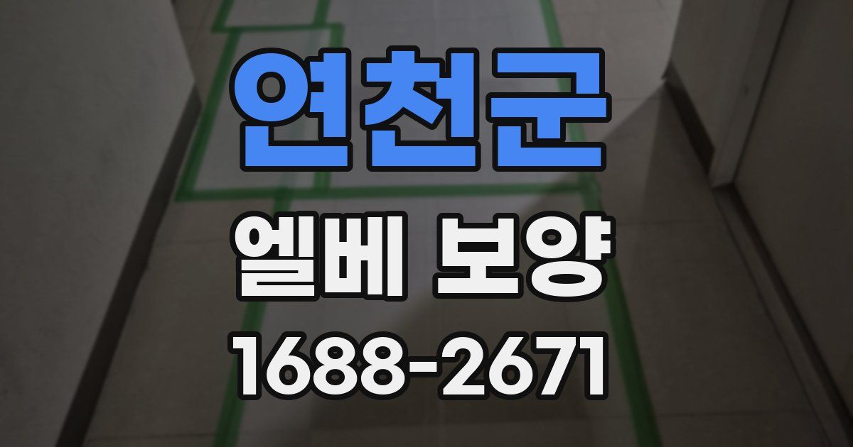 연천군 엘베 보양