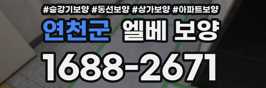 연천군 엘베 보양