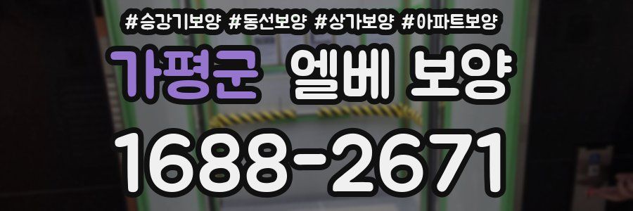 가평군 엘베 보양