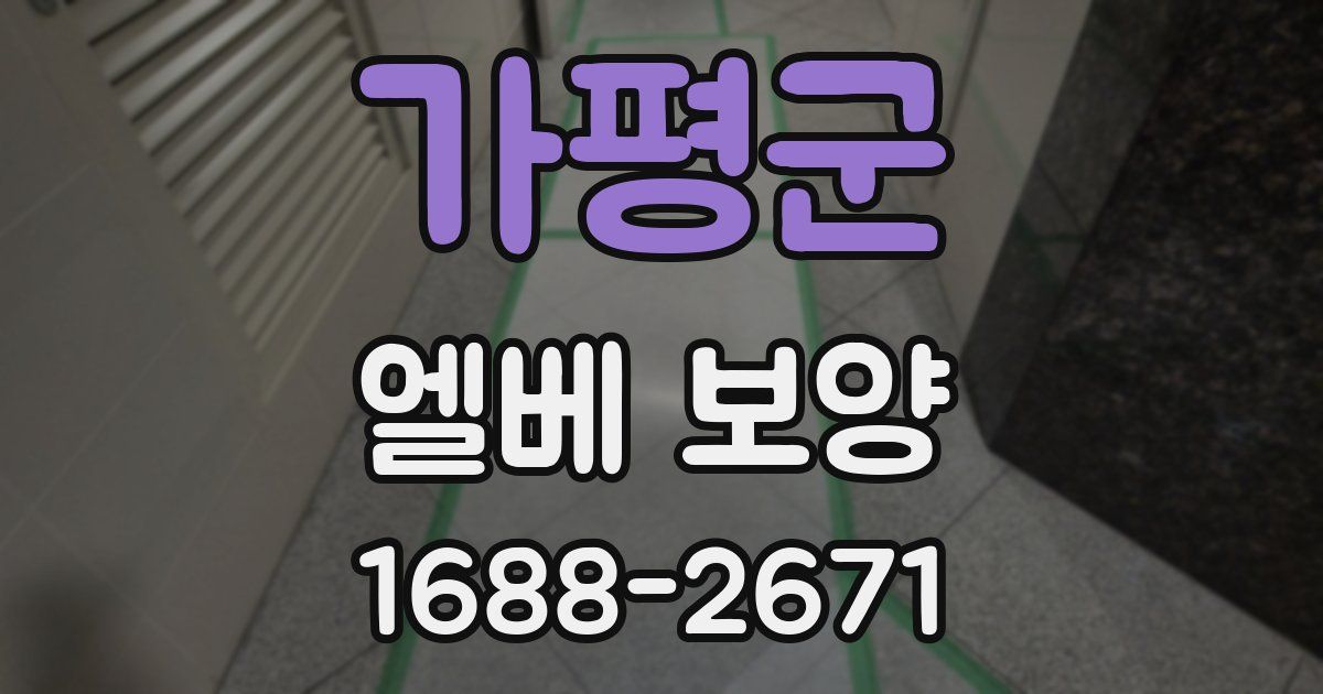 가평군 엘베 보양